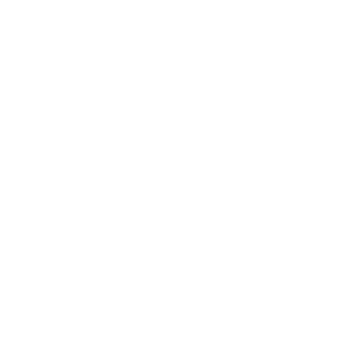Sleek